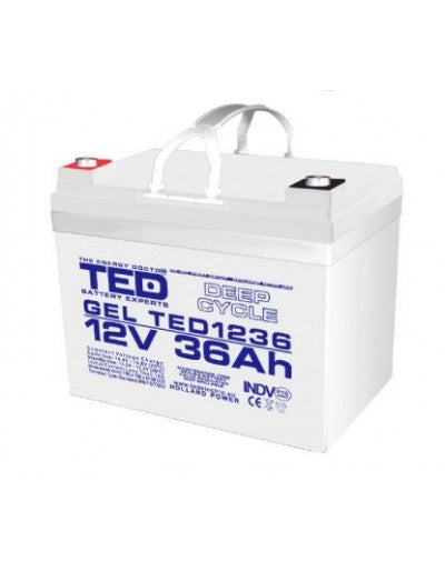 Acumulator carucior electric, scuter electric 12V 36Ah Gel TED 1236 cu prindere surub M6