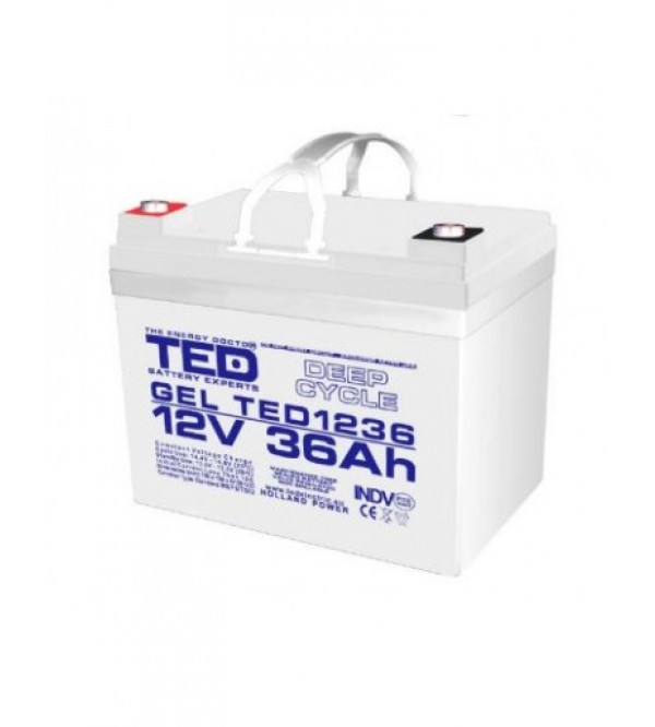 Prisoner Interconnect larynx Acumulator bicicleta electrica, scuter electric 12V 36Ah Gel TED 1236 cu prindere surub M6 - Prisoner Interconnect larynx Acumulator bicicleta electrica, scuter electric 12V 36Ah Gel TED 1236 cu prindere surub M6 -