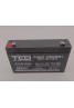 Acumulator 6V 9.1 Ah 151mm x 34mm x 94mm VRLA AGM F2 / T2 TED